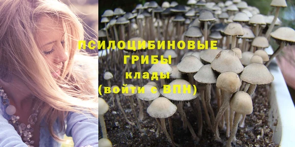 apvp Алзамай