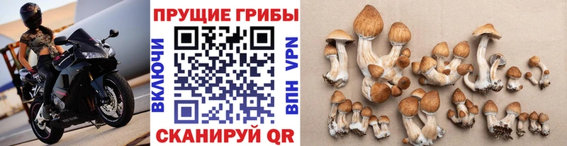 Псилоцибиновые грибы Magic Shrooms  Алупка 